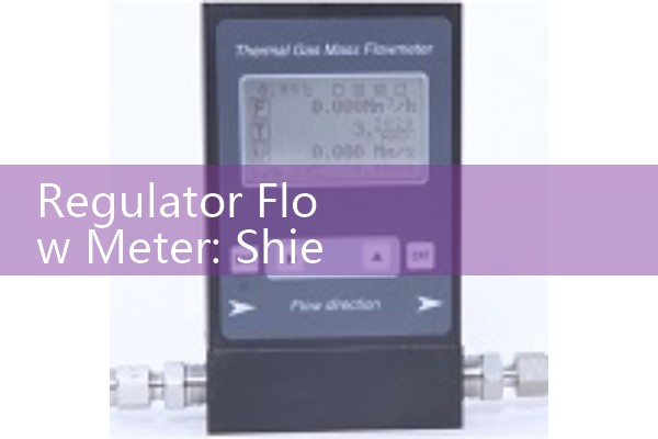 Regulator Flow Meter: Shielding Cylinder Assemblies for Precision Welding